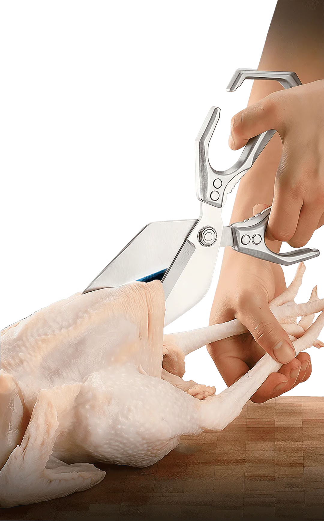 Heavy-Duty Multi-Purpose Kitchen Shears